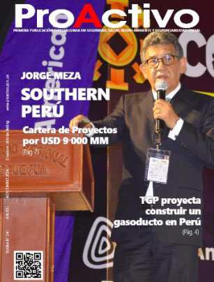Revista ProActivo – Edición N° 241