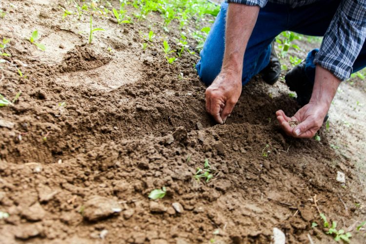 Cemento Yura impulsa programa que beneficia a los agricultores